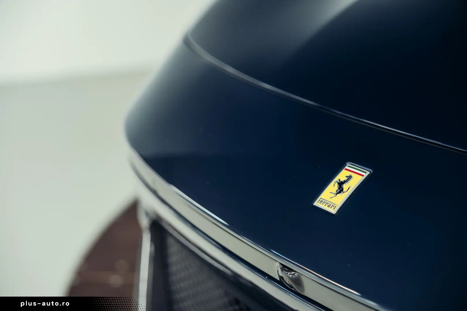 Purosangue  Blu Pozzi  Carbon