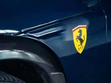 Purosangue  Blu Pozzi  Carbon