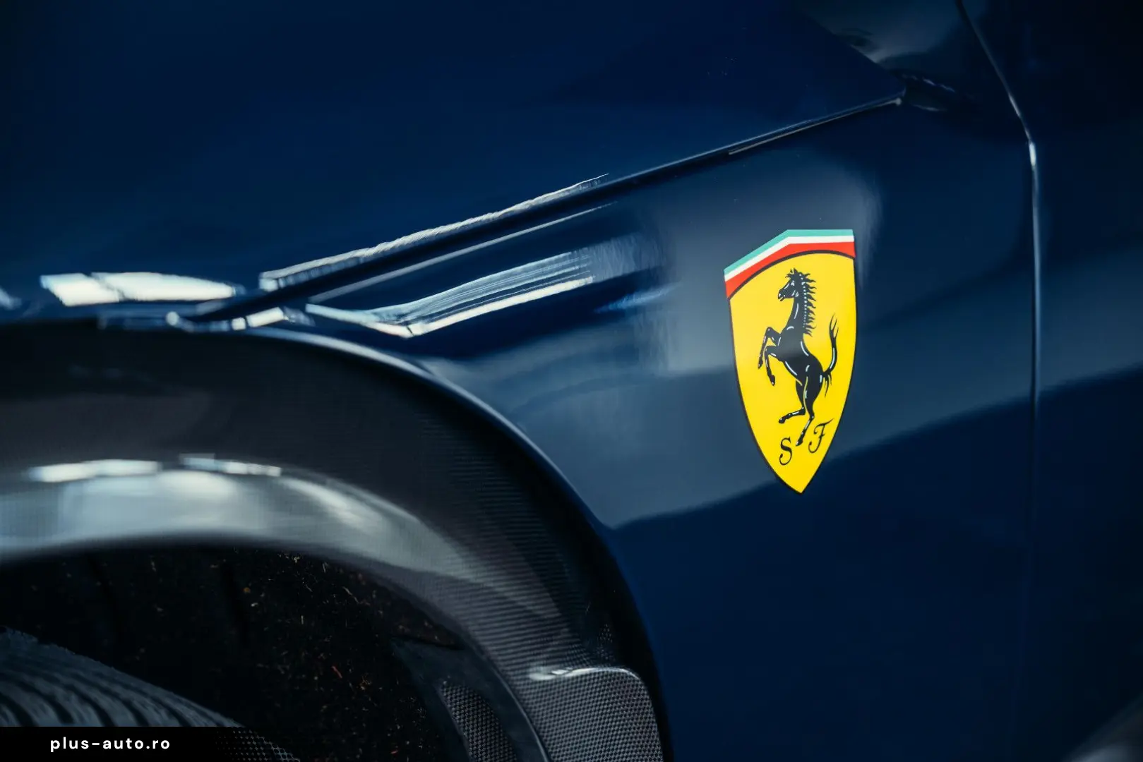 Purosangue  Blu Pozzi  Carbon