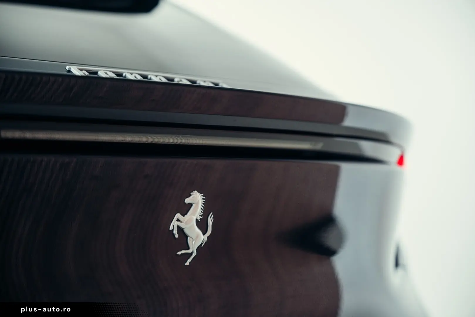 Purosangue  Blu Pozzi  Carbon