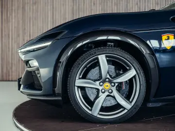 Purosangue  Blu Pozzi  Carbon