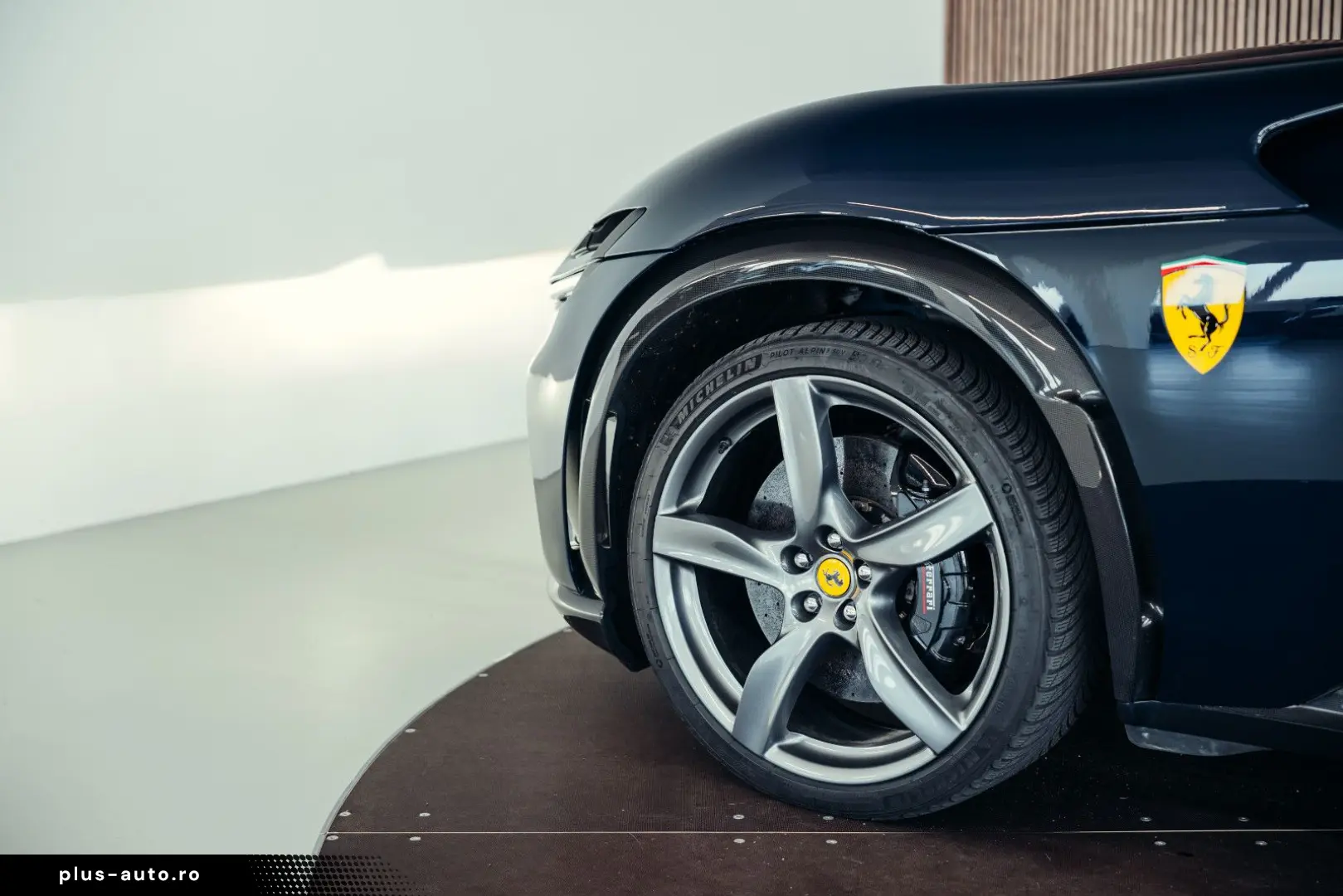 Purosangue  Blu Pozzi  Carbon