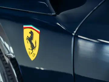 Purosangue  Blu Pozzi  Carbon