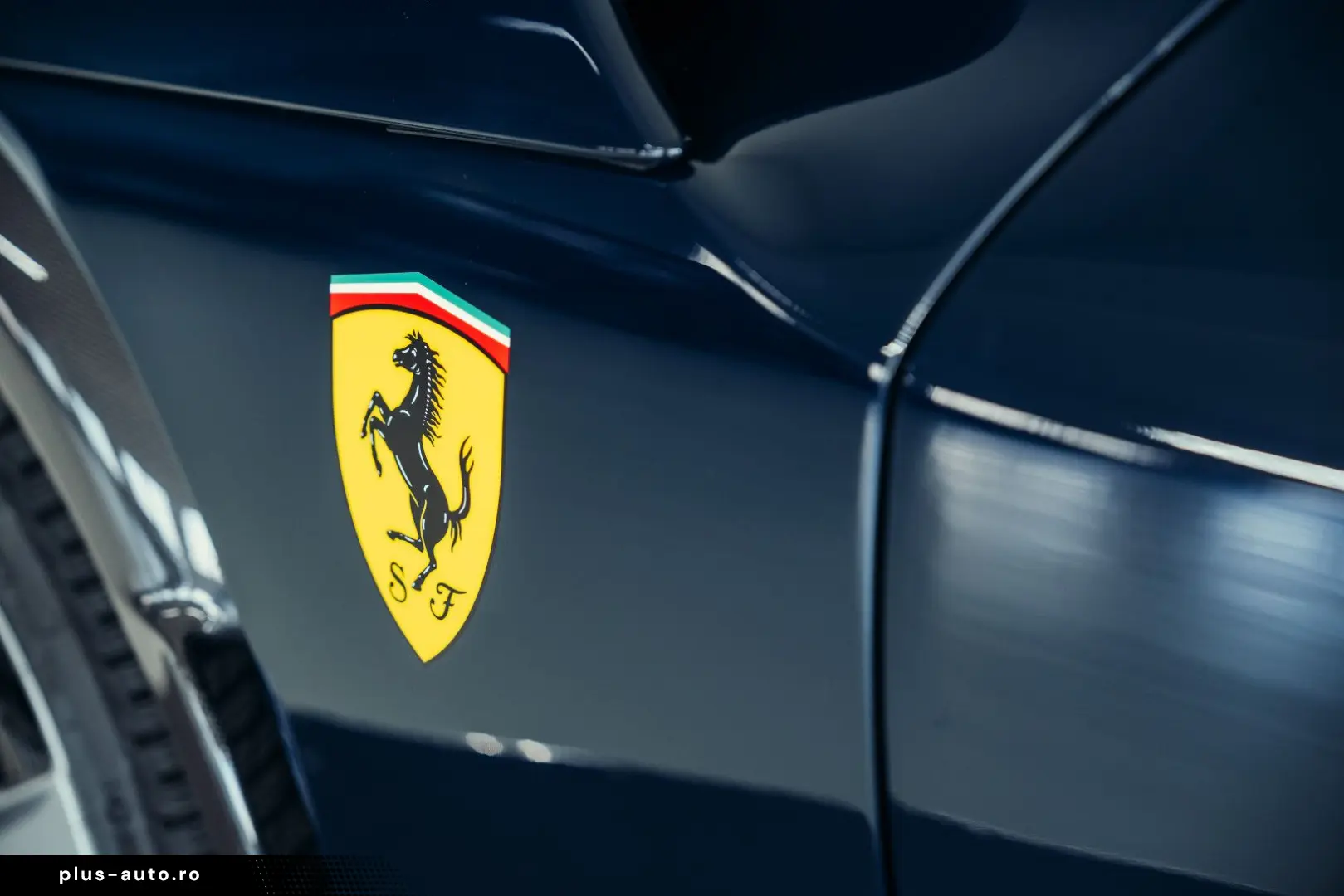 Purosangue  Blu Pozzi  Carbon