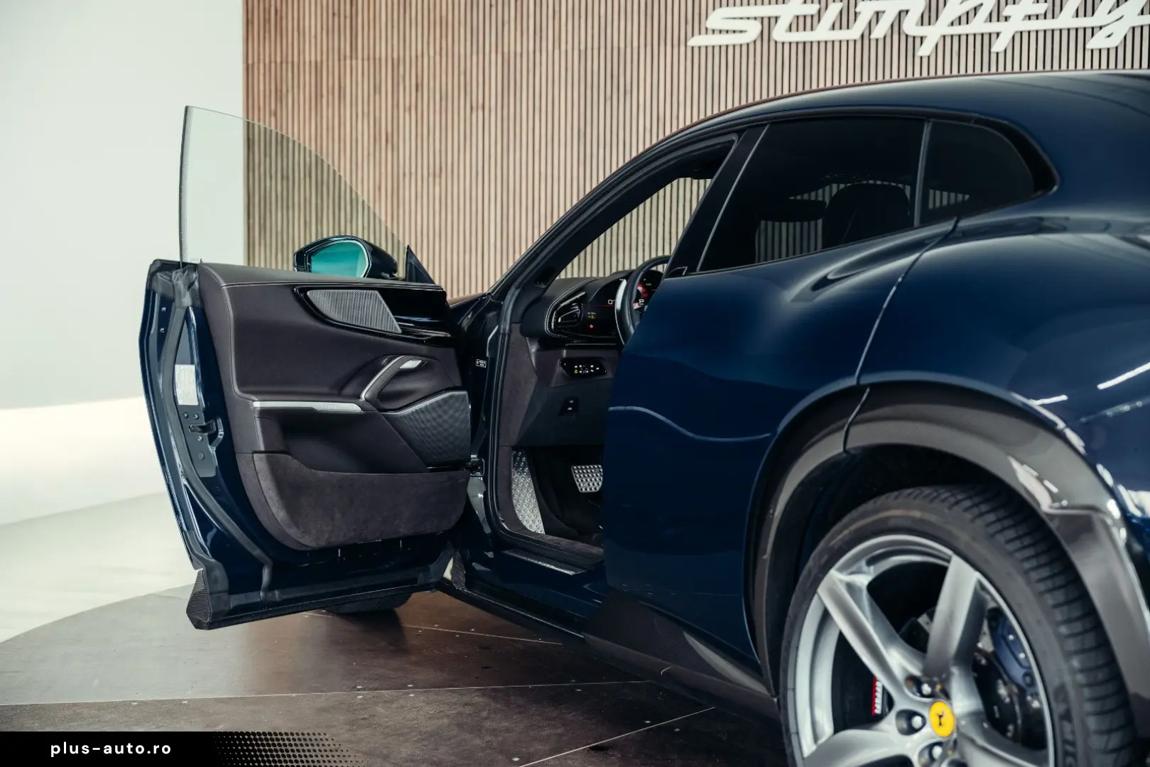 Purosangue  Blu Pozzi  Carbon