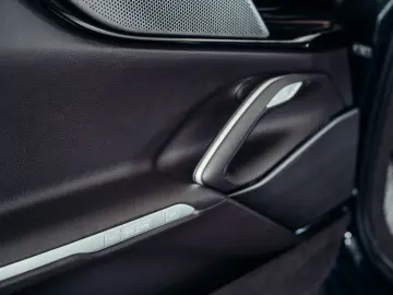 Purosangue  Blu Pozzi  Carbon