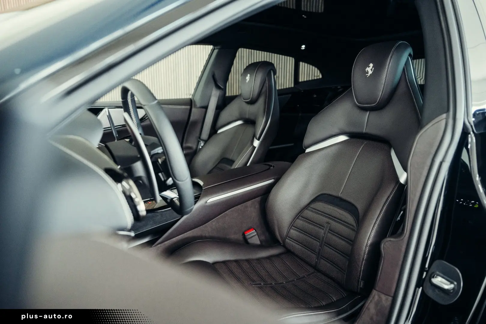 Purosangue  Blu Pozzi  Carbon