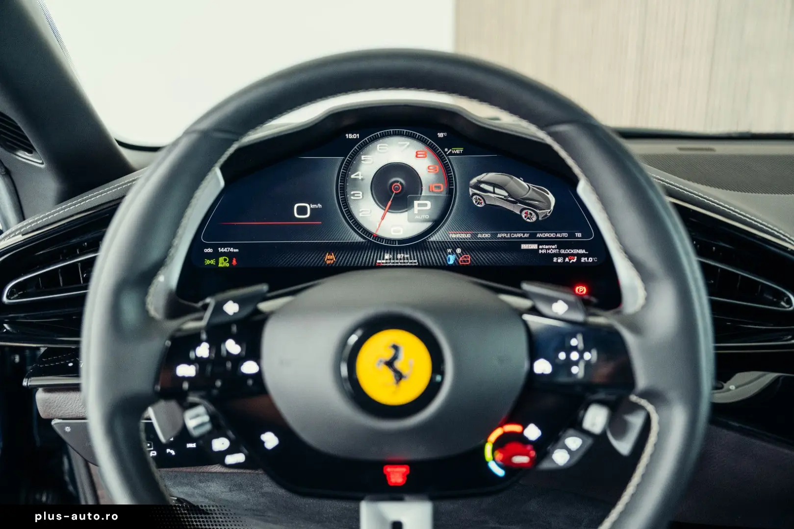 Purosangue  Blu Pozzi  Carbon