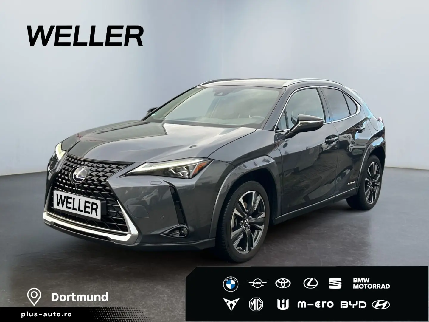 UX 250h (E-FOUR) Luxury Line Matrix 360  SHZ PDC