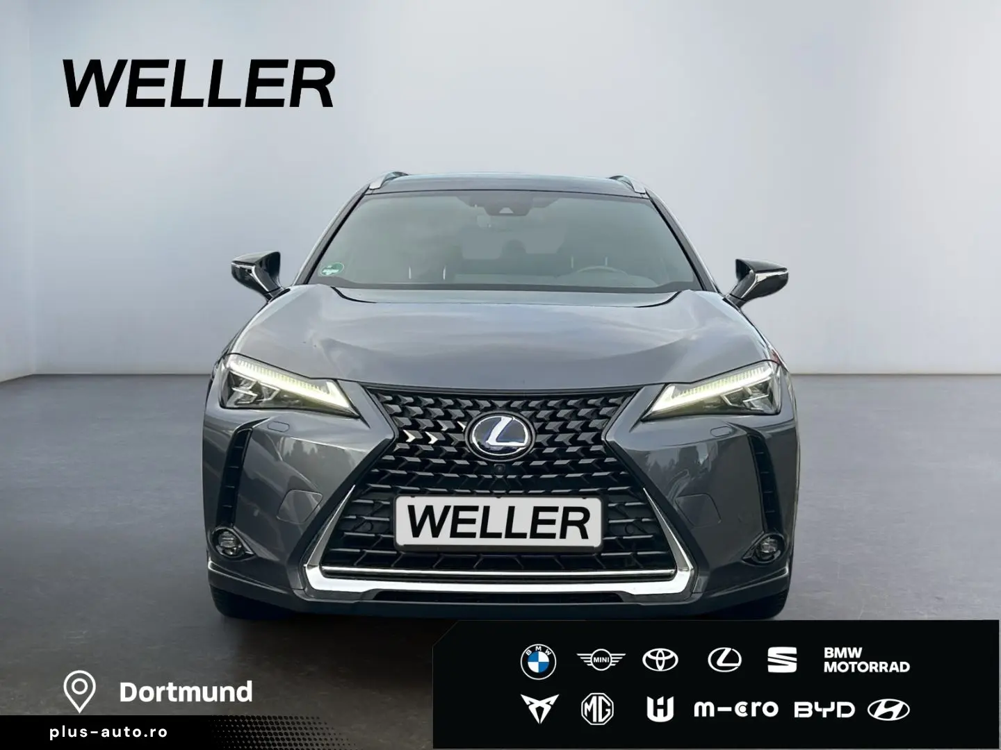 UX 250h (E-FOUR) Luxury Line Matrix 360  SHZ PDC