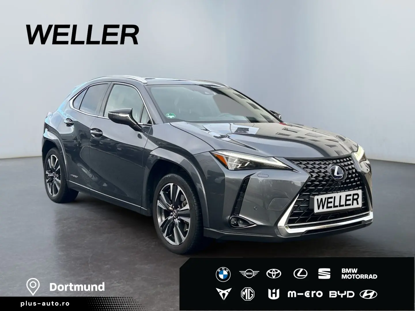 UX 250h (E-FOUR) Luxury Line Matrix 360  SHZ PDC