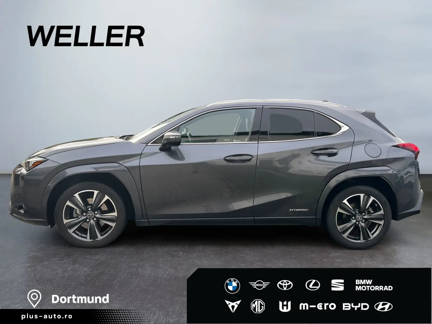 UX 250h (E-FOUR) Luxury Line Matrix 360  SHZ PDC