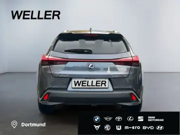 UX 250h (E-FOUR) Luxury Line Matrix 360  SHZ PDC