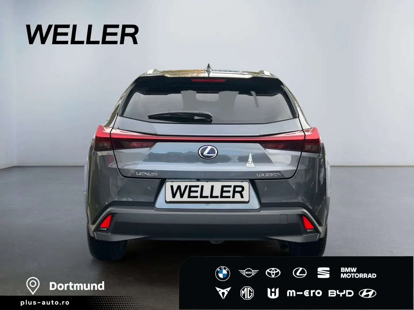 UX 250h (E-FOUR) Luxury Line Matrix 360  SHZ PDC