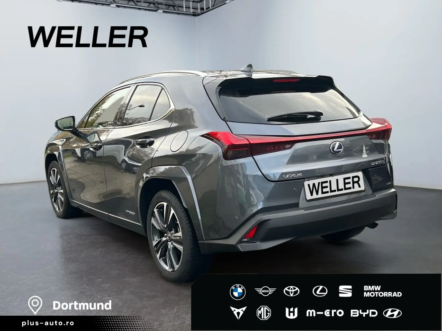 UX 250h (E-FOUR) Luxury Line Matrix 360  SHZ PDC