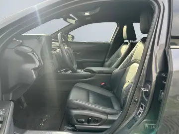 UX 250h (E-FOUR) Luxury Line Matrix 360  SHZ PDC