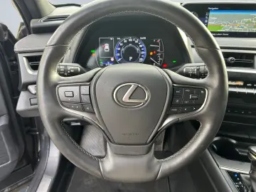 UX 250h (E-FOUR) Luxury Line Matrix 360  SHZ PDC