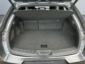 UX 250h (E-FOUR) Luxury Line Matrix 360  SHZ PDC