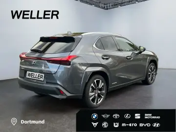 UX 250h (E-FOUR) Luxury Line Matrix 360  SHZ PDC