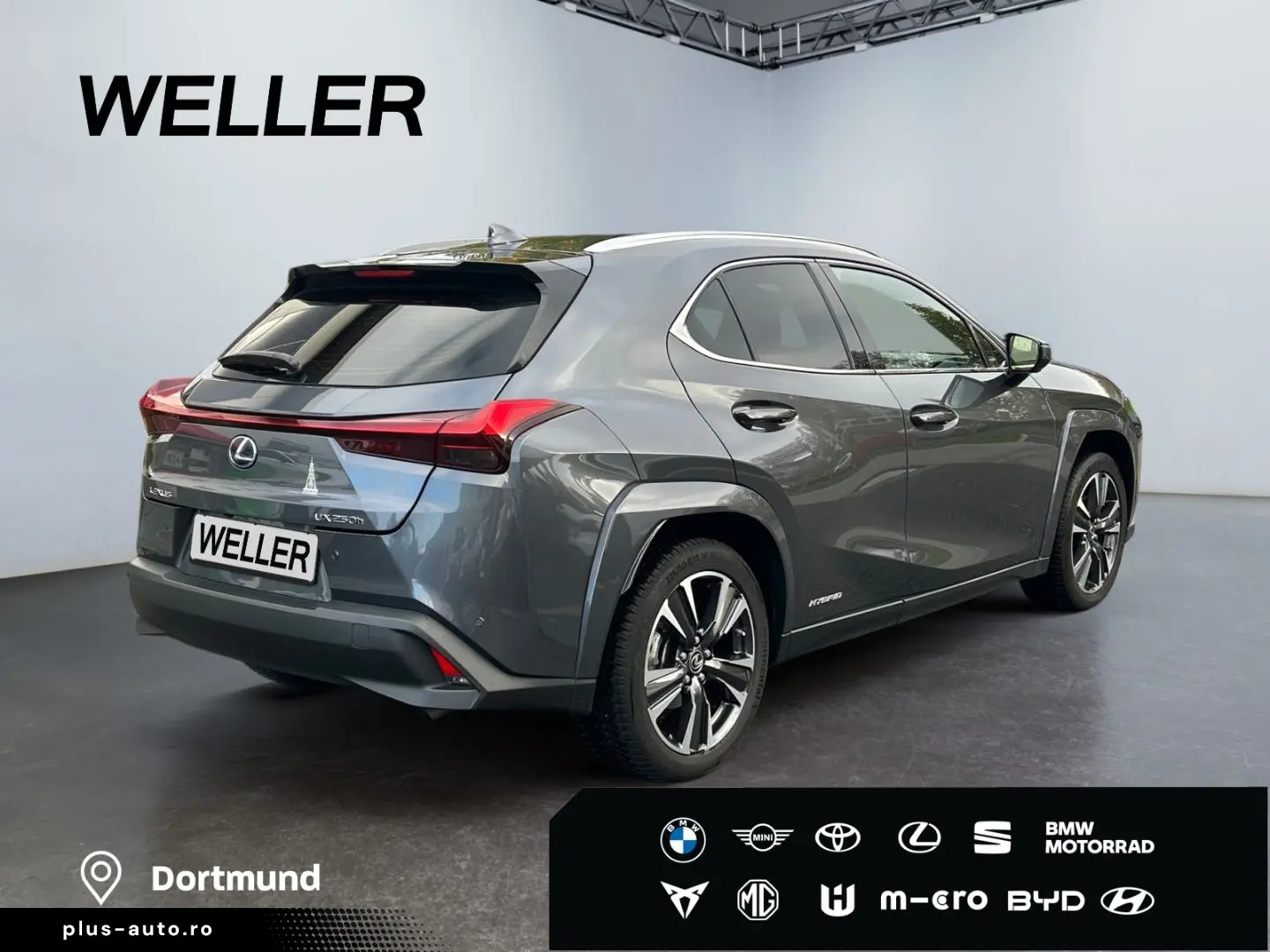 UX 250h (E-FOUR) Luxury Line Matrix 360  SHZ PDC