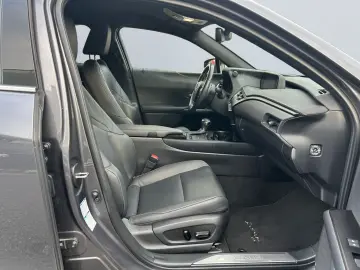 UX 250h (E-FOUR) Luxury Line Matrix 360  SHZ PDC