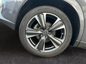 UX 250h (E-FOUR) Luxury Line Matrix 360  SHZ PDC