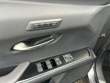 UX 250h (E-FOUR) Luxury Line Matrix 360  SHZ PDC