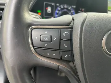 UX 250h (E-FOUR) Luxury Line Matrix 360  SHZ PDC