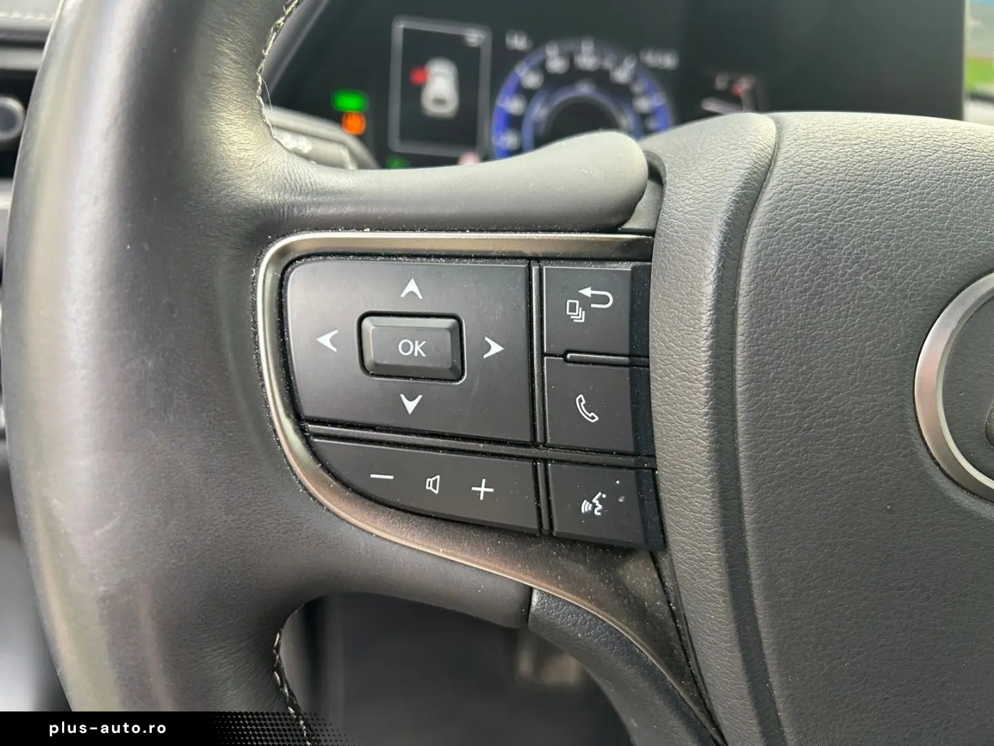 UX 250h (E-FOUR) Luxury Line Matrix 360  SHZ PDC