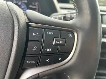 UX 250h (E-FOUR) Luxury Line Matrix 360  SHZ PDC