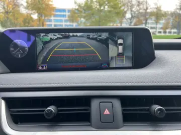 UX 250h (E-FOUR) Luxury Line Matrix 360  SHZ PDC