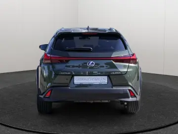 UX 250h Style Edition LENKRADHEIZUNG LED Carplay