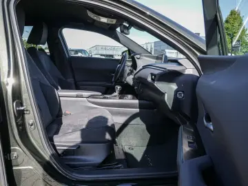 UX 250h Style Edition LENKRADHEIZUNG LED Carplay