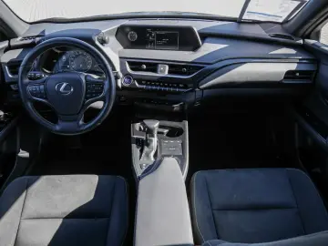 UX 250h Style Edition LENKRADHEIZUNG LED Carplay