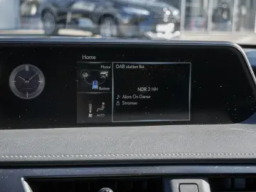 UX 250h Style Edition LENKRADHEIZUNG LED Carplay