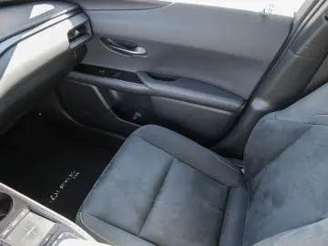 UX 250h Style Edition LENKRADHEIZUNG LED Carplay