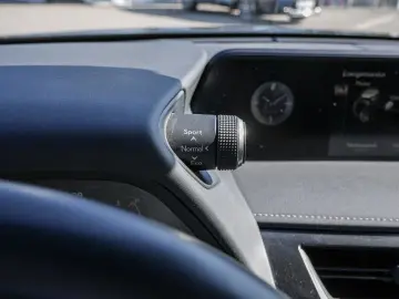 UX 250h Style Edition LENKRADHEIZUNG LED Carplay