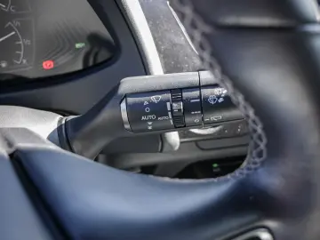 UX 250h Style Edition LENKRADHEIZUNG LED Carplay