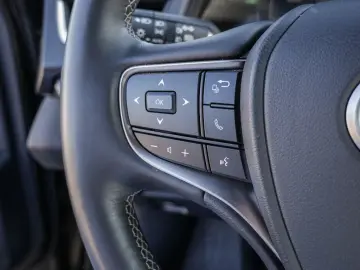 UX 250h Style Edition LENKRADHEIZUNG LED Carplay