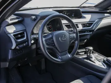 UX 250h Style Edition LENKRADHEIZUNG LED Carplay