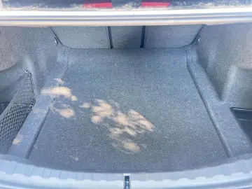 320i xDrive Limousine M Sportpaket HiFi DAB LED