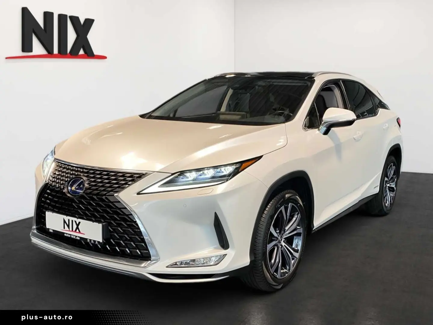 RX 450h Executive Line PANO KAMERA