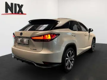 RX 450h Executive Line PANO KAMERA