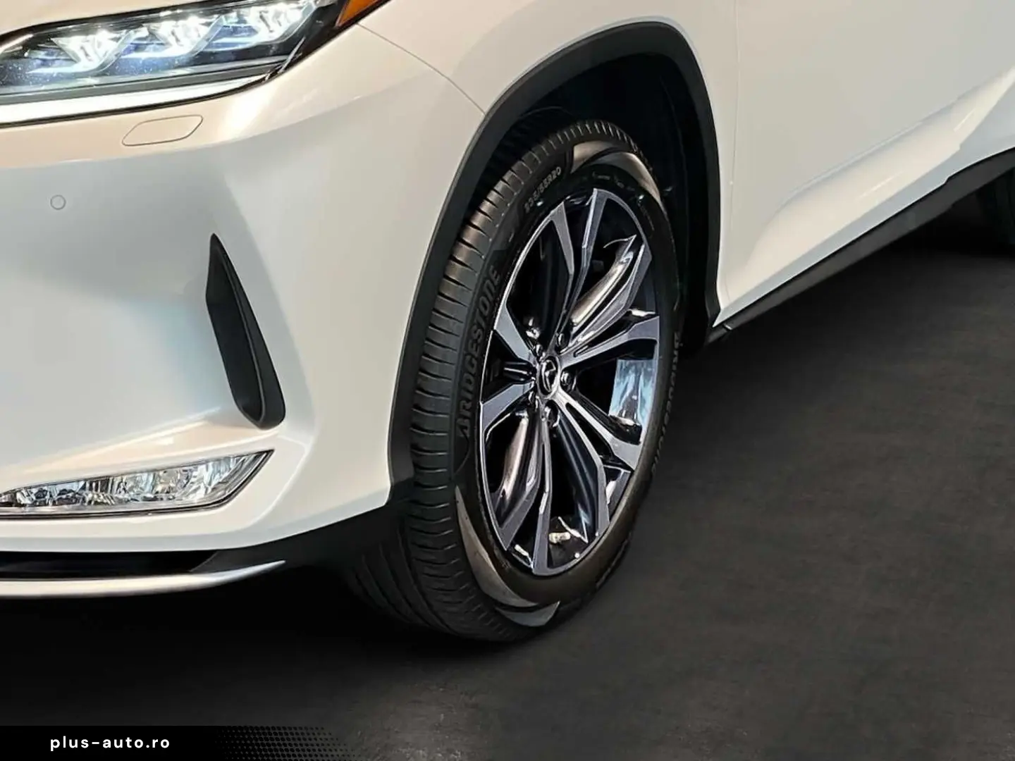 RX 450h Executive Line PANO KAMERA