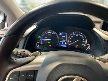 RX 450h Executive Line PANO KAMERA