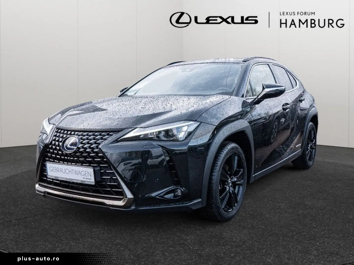 UX 250 h Style  KLIMA SHZ ACC LED SCHEINWERFER