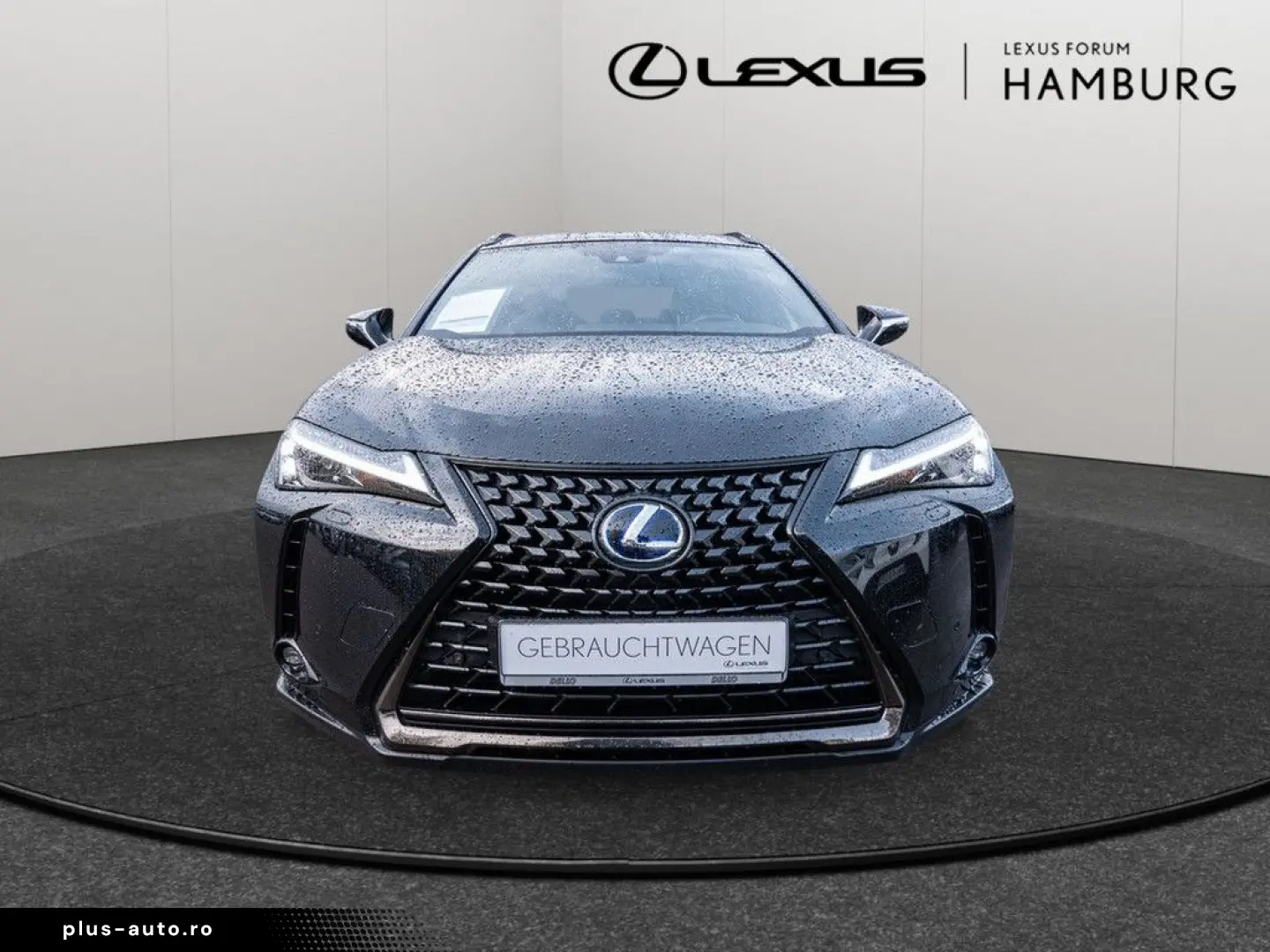 UX 250 h Style  KLIMA SHZ ACC LED SCHEINWERFER