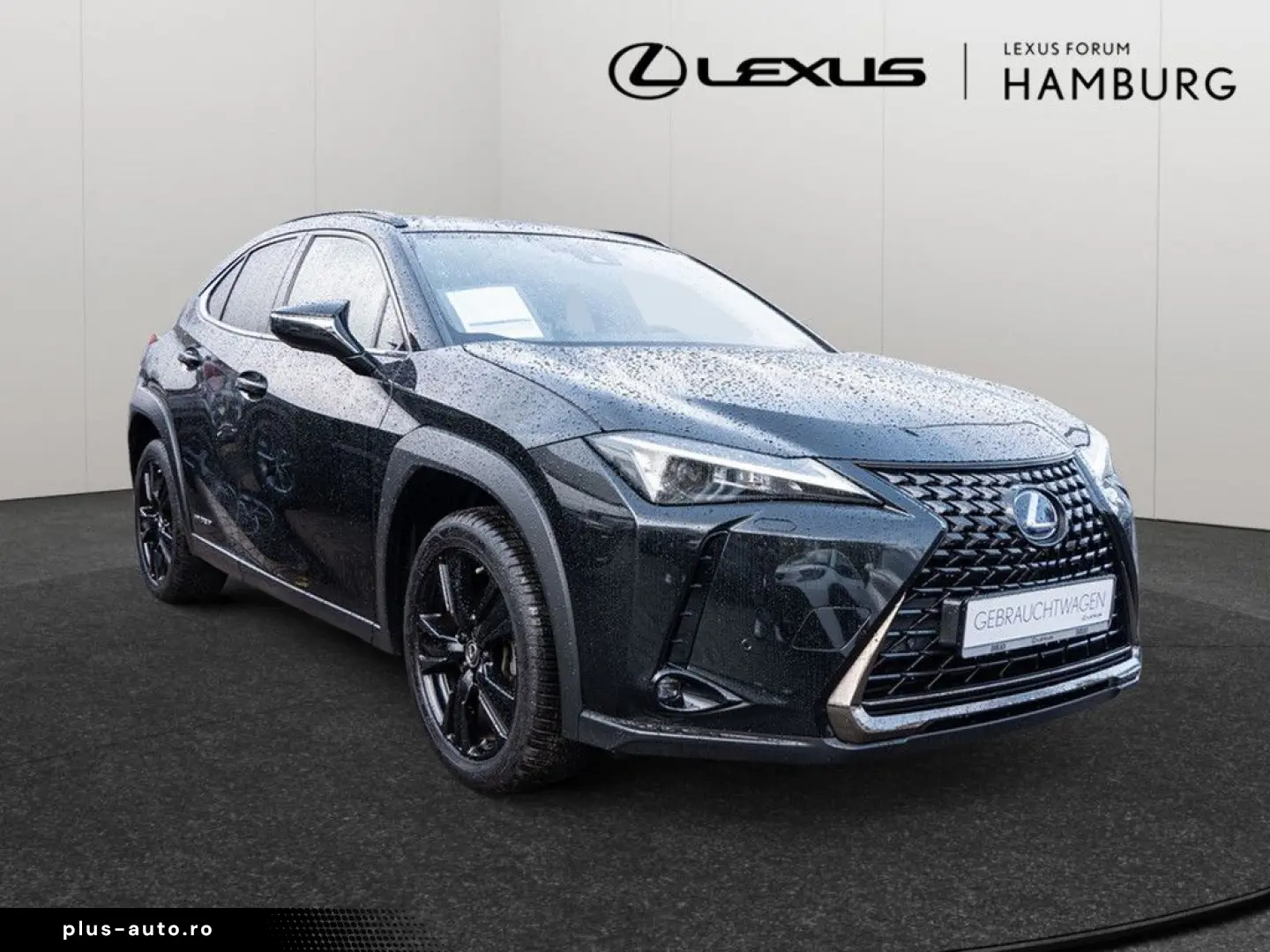 UX 250 h Style  KLIMA SHZ ACC LED SCHEINWERFER