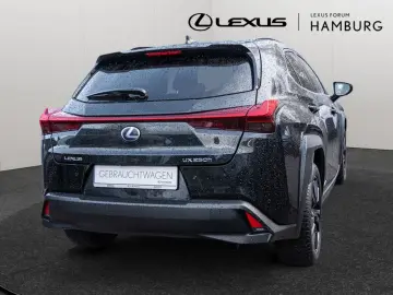 UX 250 h Style  KLIMA SHZ ACC LED SCHEINWERFER