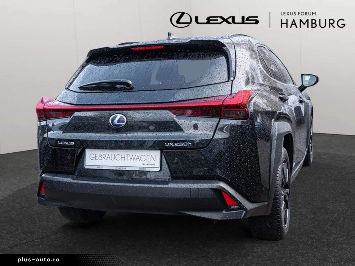 UX 250 h Style  KLIMA SHZ ACC LED SCHEINWERFER